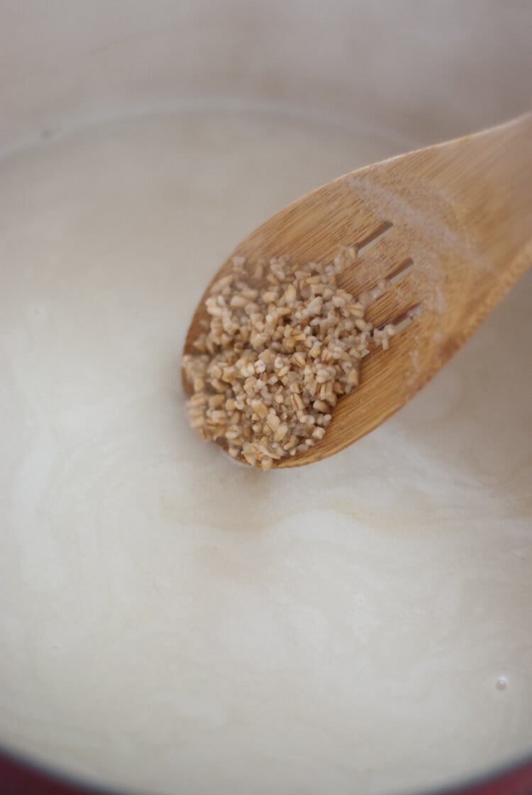 how to cook steel cut oats how to cook steel cut oats