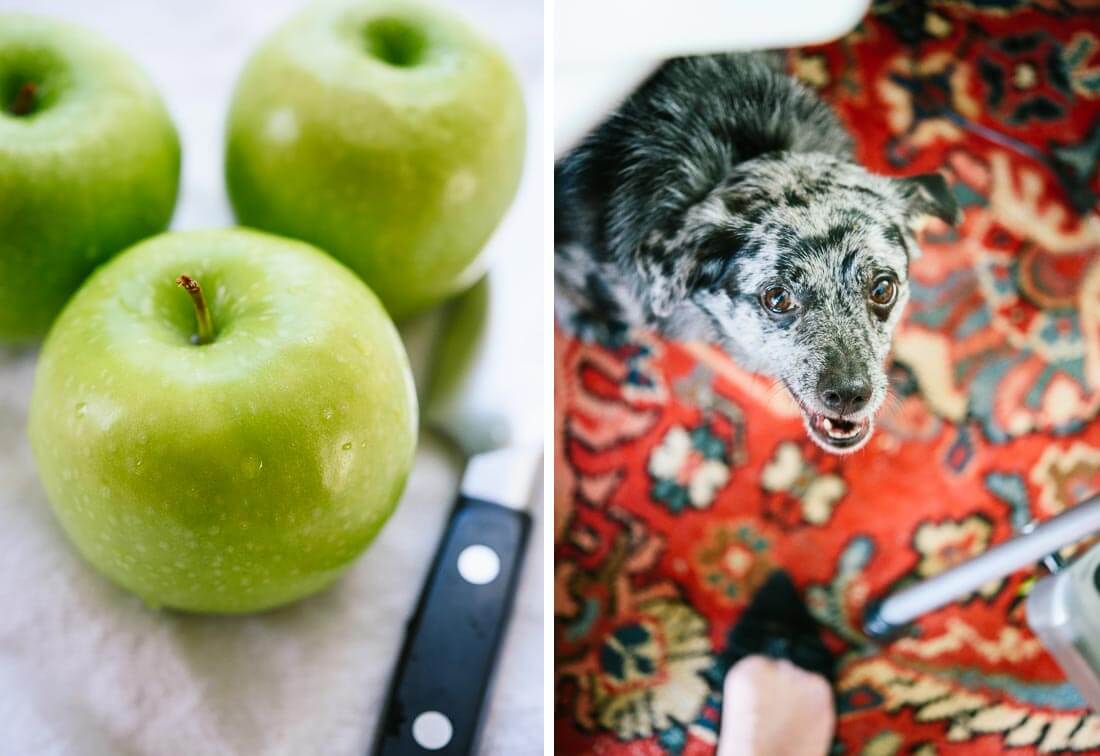 apples